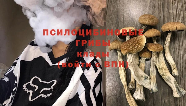 гидра Киреевск